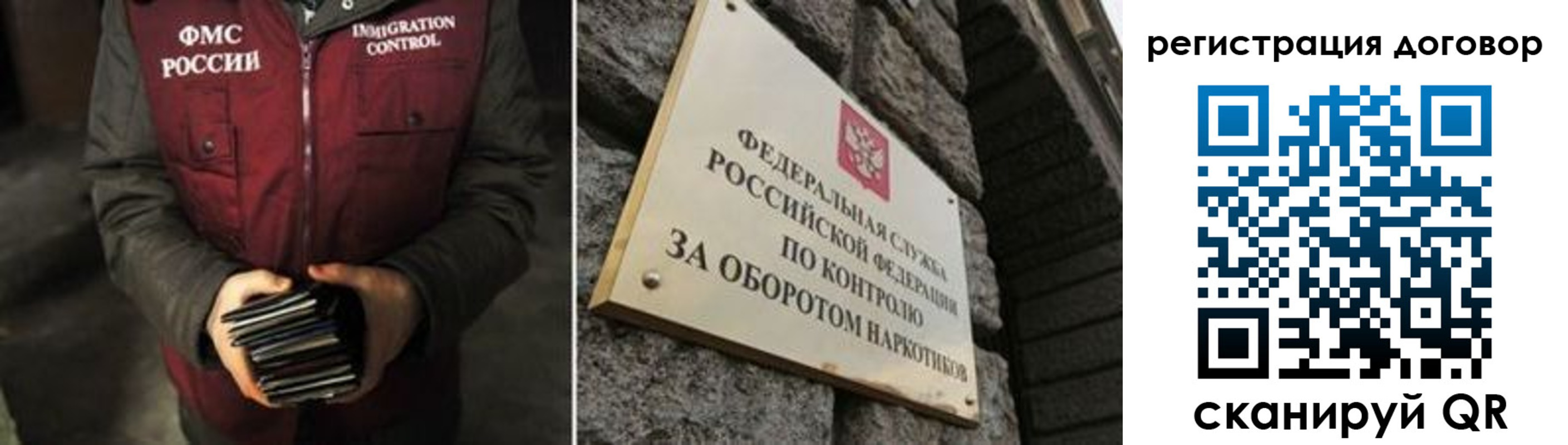 прописка гарантия в Ермолино